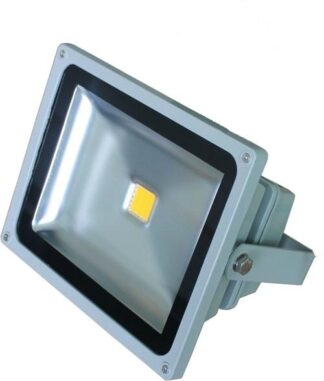 Proiector LED 30w 220v Clasic