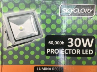 Proiector LED 30w 220v Clasic Skyglory